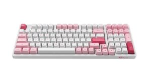 Bàn Phím Cơ AKKO 3098B Multi-modes Prunus Lannesiana (AKKO CS Switch Jelly Pink)