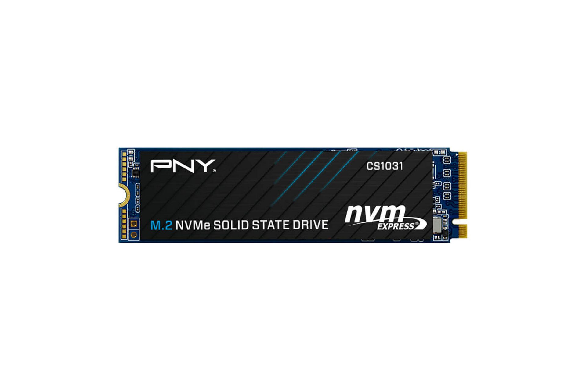 Ổ cứng SSD PNY CS1031 256GB (M.2 2280 | PCIe Gen 3x4 NVMe 1.3 | 1700MB/s | 1100MB/s)