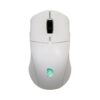 Chuột máy tính Fuhlen D90S RGB Wireless (White)