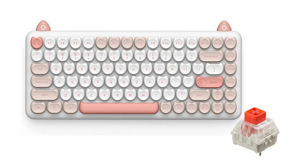 Bàn phím cơ IQUNIX M80 Purry Cat Ragdoll Wireless RGB Kailh Red Switch