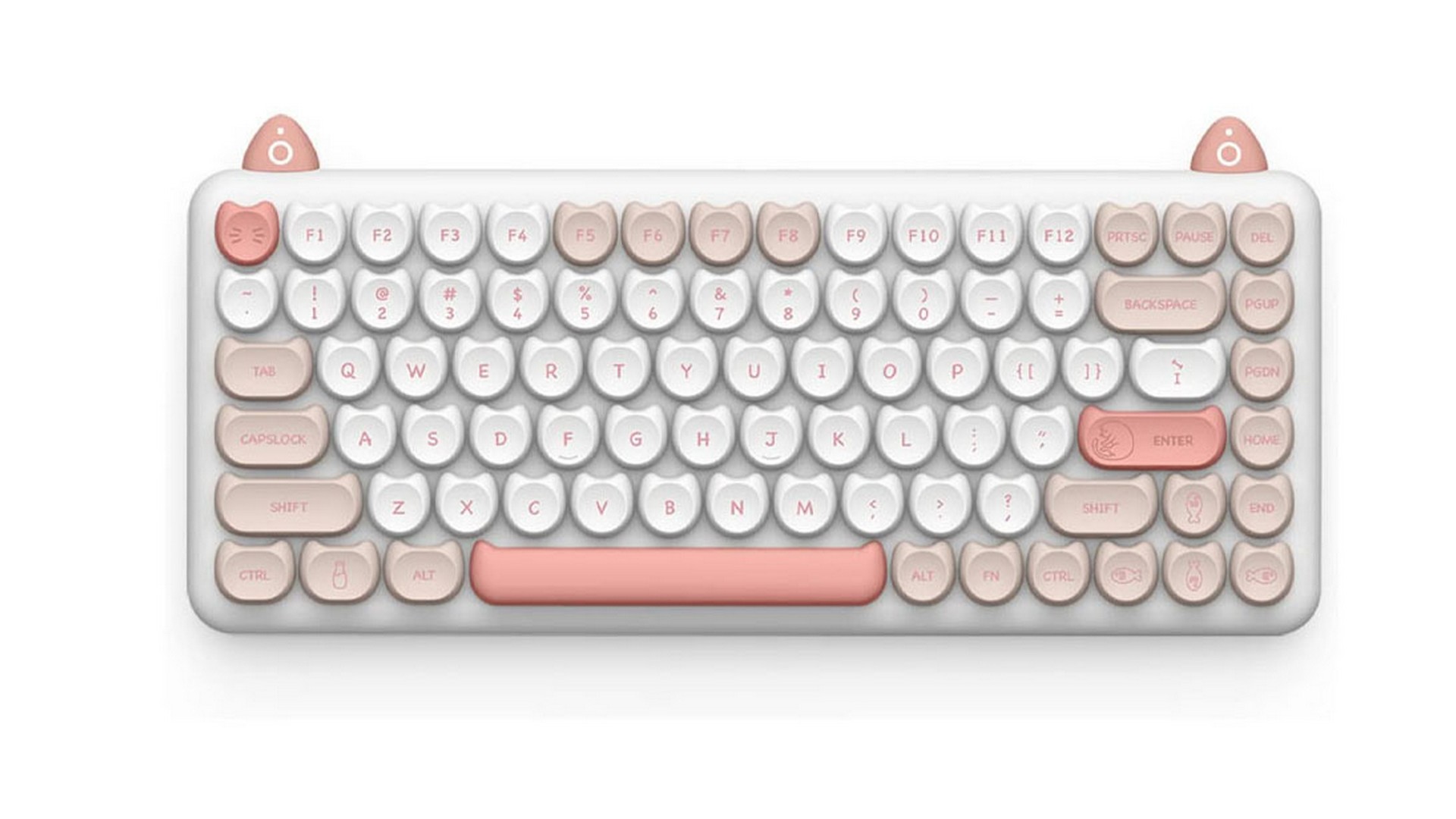 Bàn phím cơ IQUNIX M80 Purry Cat Ragdoll Wireless RGB Kailh Red Switch