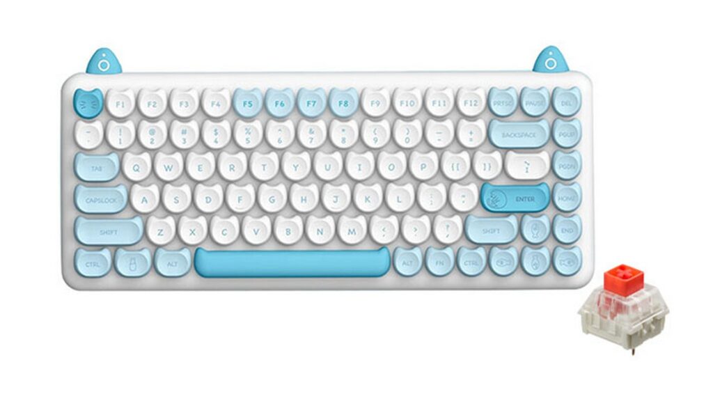 Bàn phím cơ IQUNIX M80 Purry Cat Persian Wireless RGB Kailh Red Switch