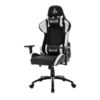 Ghế chơi game Warrior Raider Series WGC206 - Black/White 2 Ghế chơi game Warrior Raider Series WGC206 - Black/White