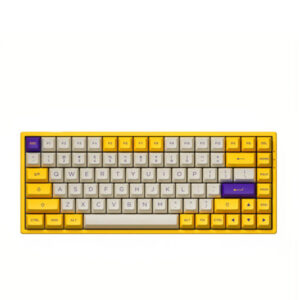 Bàn phím cơ AKKO 3084v2 ASA Los Angeles – AKKO CS Switch