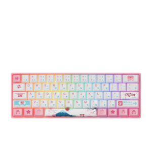 Bàn phím cơ AKKO 3061 World Tour Tokyo R2 – Gateron Switch