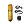 Microphone BM900