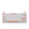 Bàn phím cơ IQUNIX M80 Purry Cat Ragdoll Wireless RGB Kailh Blue Switch