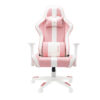 Ghế chơi game Warrior Raider Series WGC206 Plus - White/Pink 2 Ghế chơi game Warrior Raider Series WGC206 Plus - White/Pink