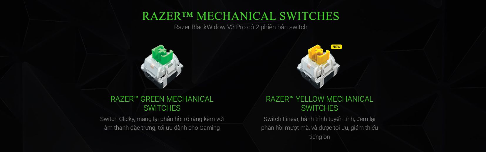 Switch đa dạng